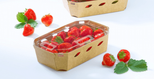 MAXIPACK CARDBOARD LID FRAISE + PILE STYLISEE 3000x2000 rvb 300dpi